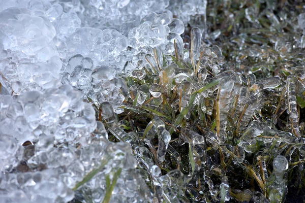 Abstraktní ledové krystaly na zmrzlé rostliny — Stock fotografie