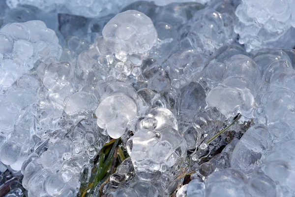 Cristales de hielo abstractos en plantas congeladas —  Fotos de Stock