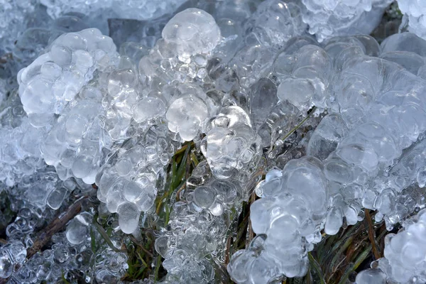 冷冻植物上的抽象冰晶 — 图库照片