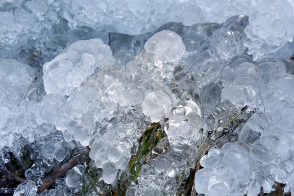Абстрактні кристали льоду на замерзлих рослинах — стокове фото