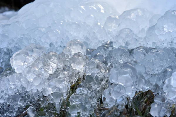 Абстрактные кристаллы льда на замороженных растениях — стоковое фото