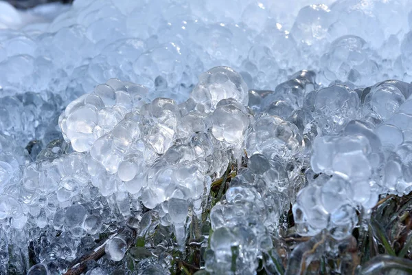 Cristais de gelo abstratos em plantas congeladas — Fotografia de Stock