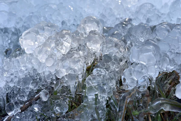 Cristales de hielo abstractos en plantas congeladas — Foto de Stock