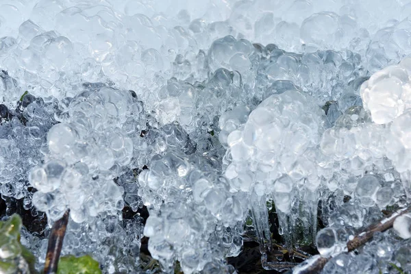 冷冻植物上的抽象冰晶 — 图库照片