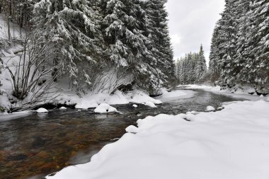 Küçük bir karlı nehir kış manzara 
