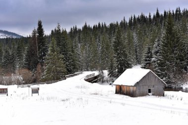 Dağlarda kar ile kaplı dağ evi