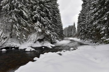 Küçük bir karlı nehir kış manzara 