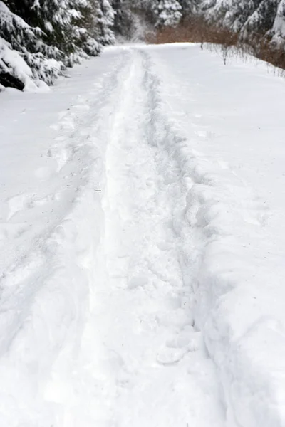 Passos na neve — Fotografia de Stock