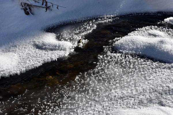 Cristais de gelo congelados entre um pequeno rio — Fotografia de Stock