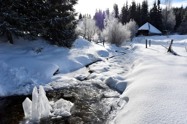 Cristaux de glace congelés dans une petite rivière — Photo