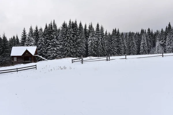 Αλπική σπίτι που καλύπτεται με το χιόνι στα βουνά — Φωτογραφία Αρχείου