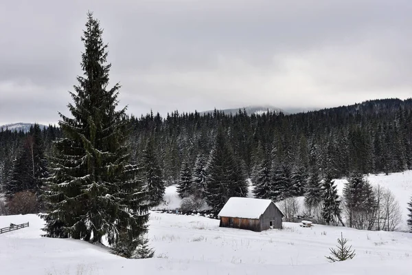 Winter landscape with a small wooden hut — Stock Photo, Image