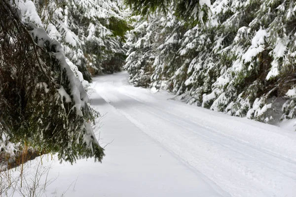 Inverno floresta montanhosa landscpae — Fotografia de Stock