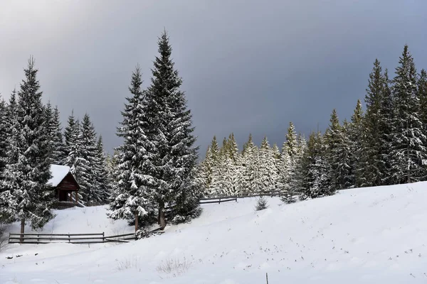 Inverno floresta montanhosa landscpae — Fotografia de Stock