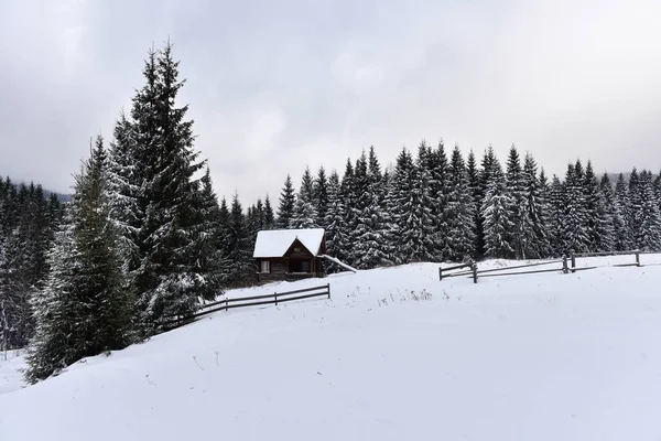 Chalé de madeira da montanha coberto com neve fresca — Fotografia de Stock