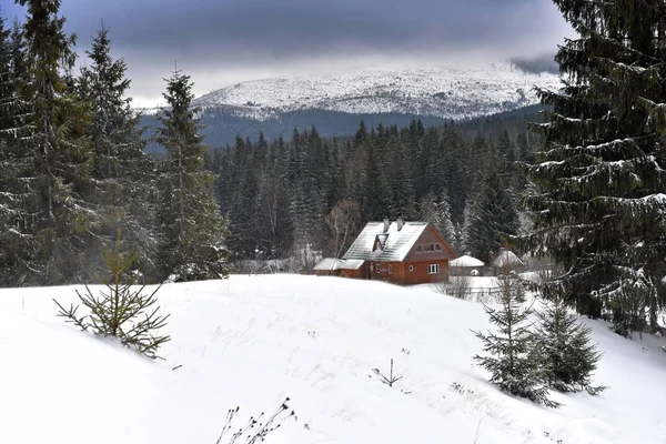 Chalé de madeira da montanha coberto com neve fresca — Fotografia de Stock