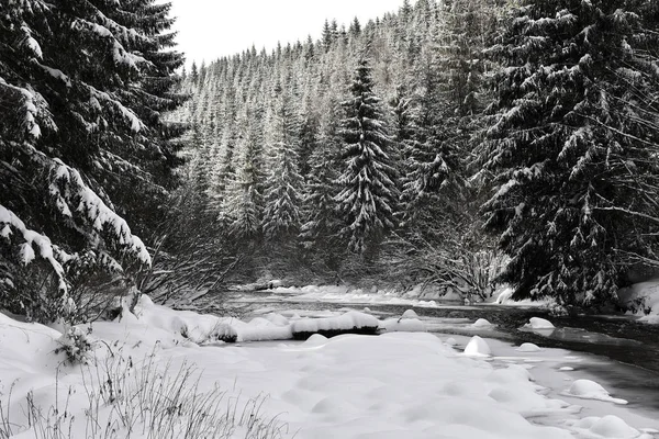 Paisaje invernal de un pequeño río nevado —  Fotos de Stock