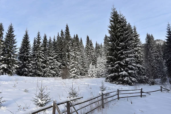 Zima góry Las landscpae — Zdjęcie stockowe