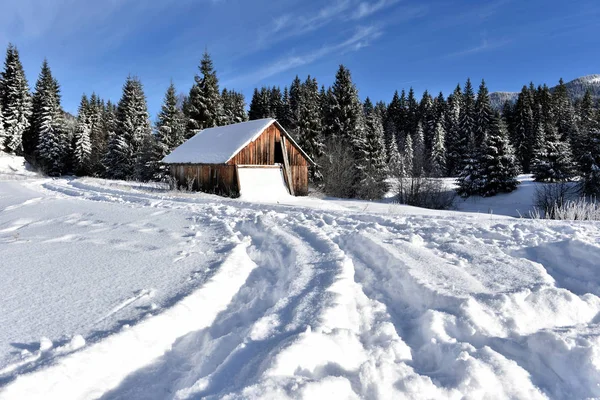 Drewniane schronisko górskie pokryte puszystym śniegu — Zdjęcie stockowe