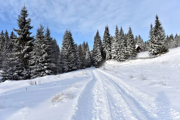 Paesaggio forestale montano invernale — Foto Stock