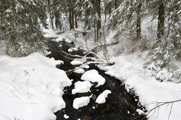 Маленькая замерзшая река со свежим снегом на скалах — стоковое фото