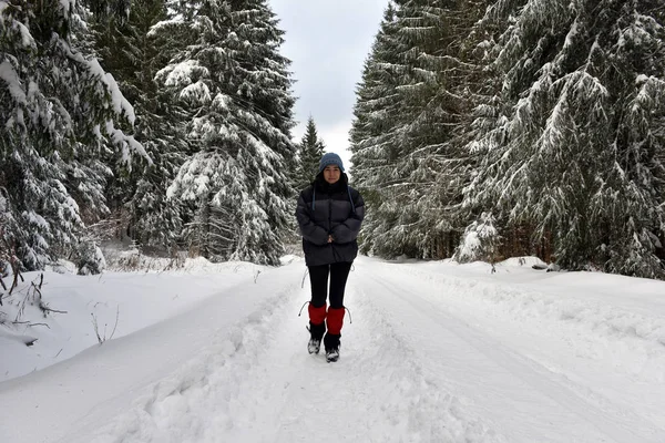 Mulher andando sozinha na floresta de inverno — Fotografia de Stock