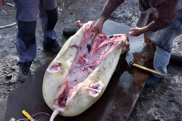 Schlachter schneidet einem Schwein die Koteletten ab — Stockfoto