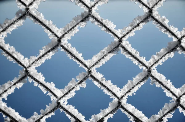 Metallisches Netz mit Raureif bedeckt. Extrem kaltes Wetter — Stockfoto