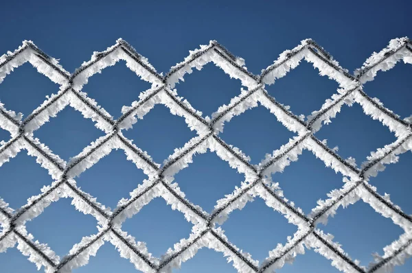 Metallic net covered with hoarfrost. Extreme cold weather concep — Stock Photo, Image