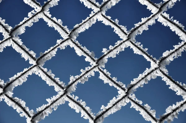 Metallic net covered with hoarfrost. Extreme cold weather concep — Stock Photo, Image