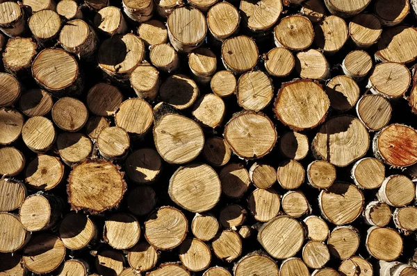 Chopped stacked firewood — Stock Photo, Image
