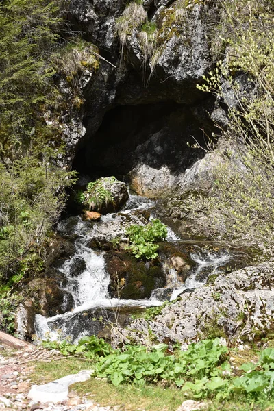 Corriente de agua que emerge de una cueva — Foto de Stock