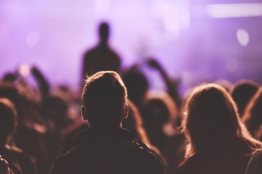 Arkadan Görünüş kalabalığın aconcert zevk