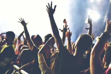 Kalabalık bir konser zevk arkadan görünüş