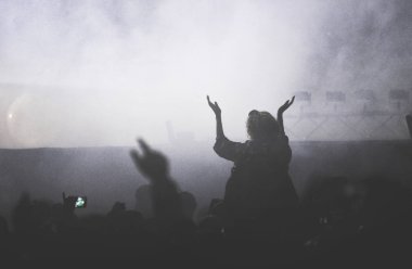 Kalabalık bir konser zevk arkadan görünüş