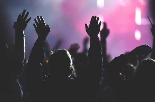 Visão traseira da multidão desfrutando durante o concerto — Fotografia de Stock