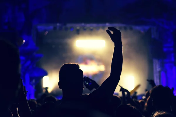 Crowd rocking during a concert with raised arms. — Stock Photo, Image