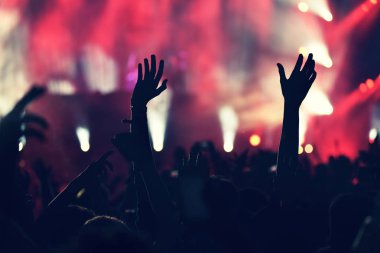 Yükseltilmiş silah ile bir konser sırasında sallanan kalabalık.