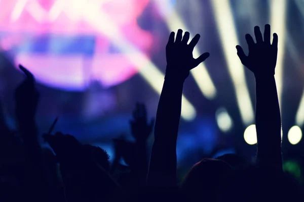 Multitud rockeando durante un concierto con los brazos levantados . — Foto de Stock