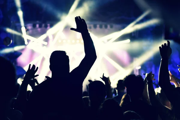 Crowd rocking during a concert with raised arms. Royalty Free Stock Photos