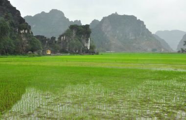 Vietnam manzara. Pirinç tarlaları ve karstik towers Ninh Binh de