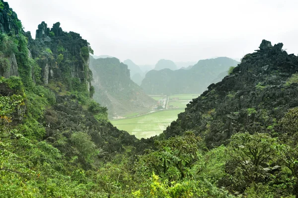 Panorama view of rice fields and limestone rocks and from Hang M — Stock Photo, Image