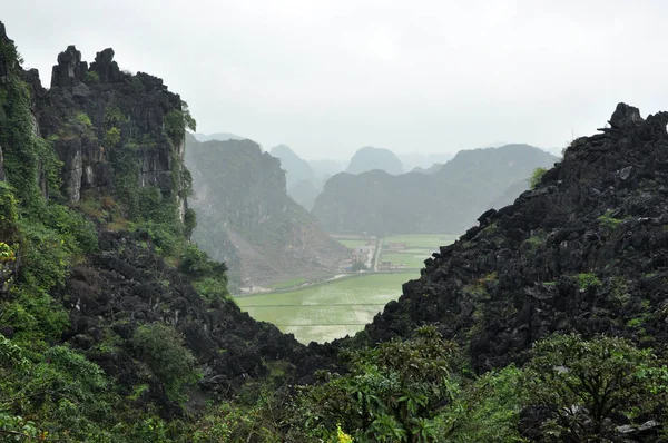 Panorama view of rice fields and limestone rocks and from Hang M — Stock Photo, Image