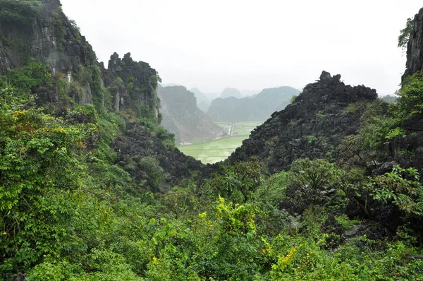 Panorama view of rice fields and limestone rocks and from Hang M — Stock Photo, Image