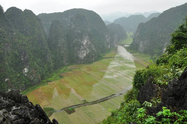 Panoramablick auf Reisfelder und Kalksteinfelsen und vom Hang m — Stockfoto