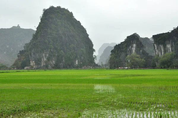 Vietnam manzara. Pirinç tarlaları ve karstik towers Ninh Binh de — Stok fotoğraf