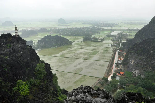 Panorama view of rice fields, rocks and mountaintop pagoda from — Stock Photo, Image