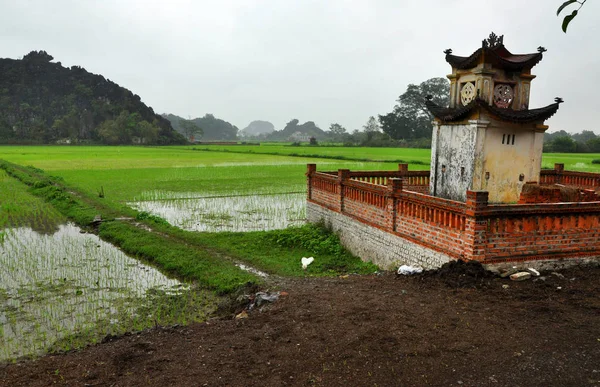 Risfält och kalkstensklippor i Vietnam — Stockfoto