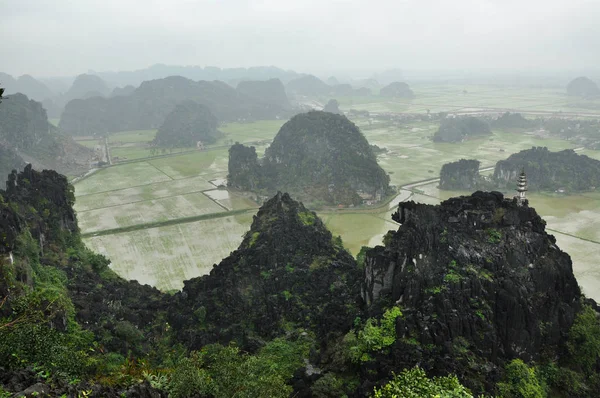 Panoramautsikt över risfält, stenar och mountaintop pagoda från — Stockfoto