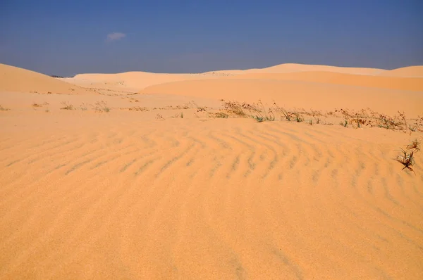 Zandduinen in de woestijn — Stockfoto